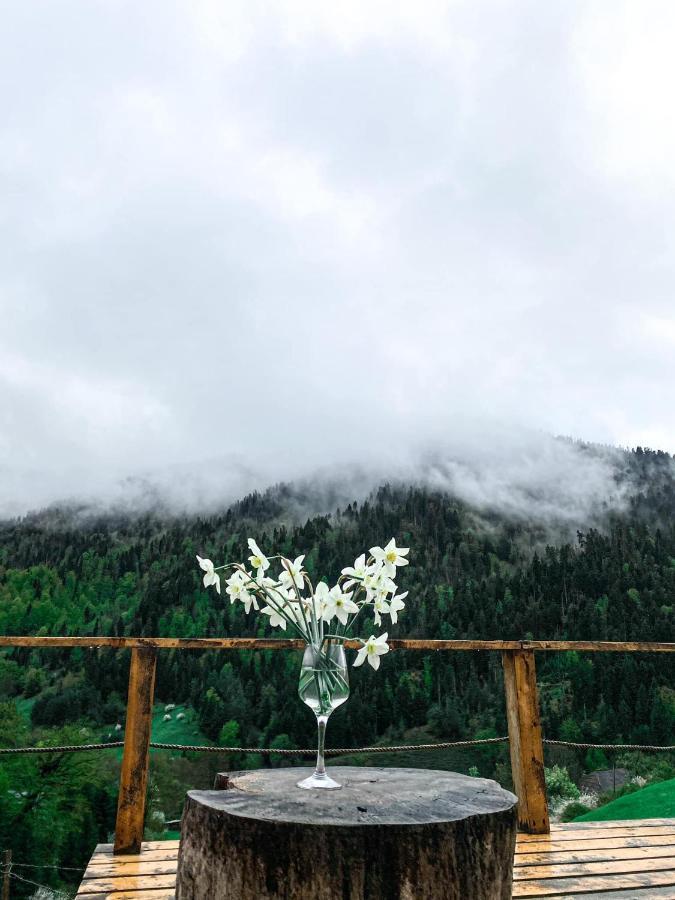 Mitarbi Silence - Cozy Holiday Cottages In Mountains Borjomi Eksteriør bilde