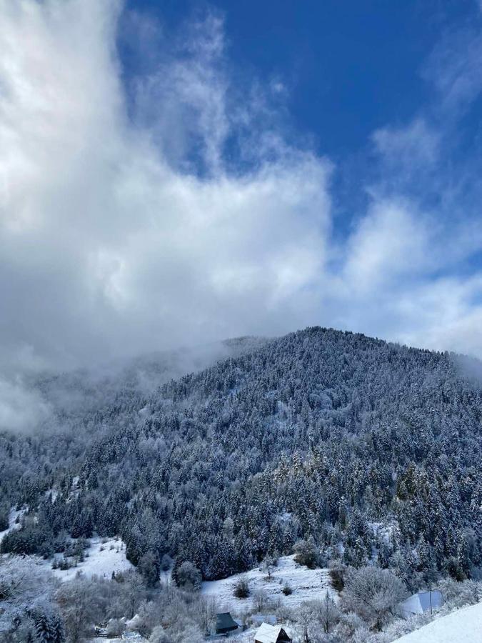 Mitarbi Silence - Cozy Holiday Cottages In Mountains Borjomi Eksteriør bilde