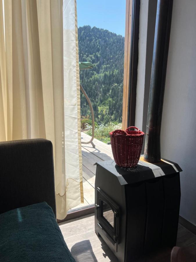 Mitarbi Silence - Cozy Holiday Cottages In Mountains Borjomi Eksteriør bilde