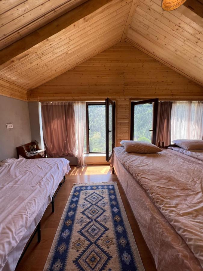 Mitarbi Silence - Cozy Holiday Cottages In Mountains Borjomi Eksteriør bilde