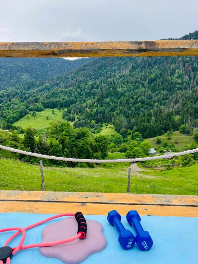 Mitarbi Silence - Cozy Holiday Cottages In Mountains Borjomi Eksteriør bilde