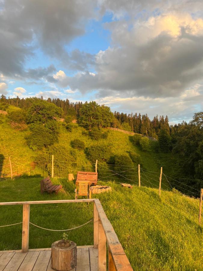 Mitarbi Silence - Cozy Holiday Cottages In Mountains Borjomi Eksteriør bilde